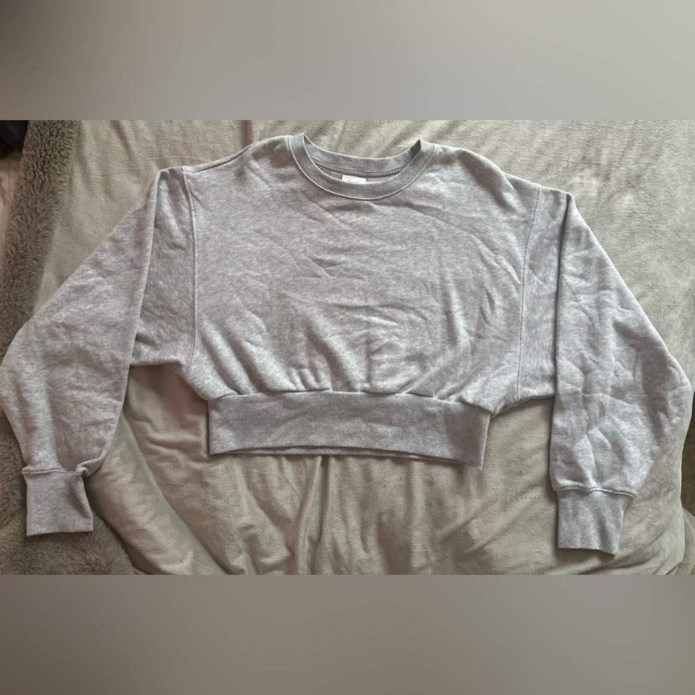 Gray Cropped Sweatshirt